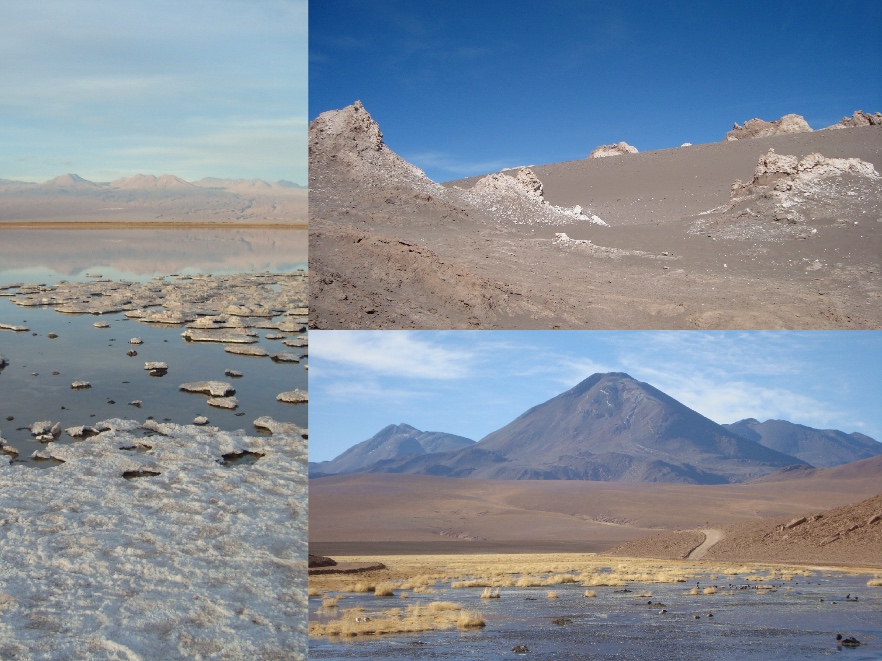 Atacama paysages